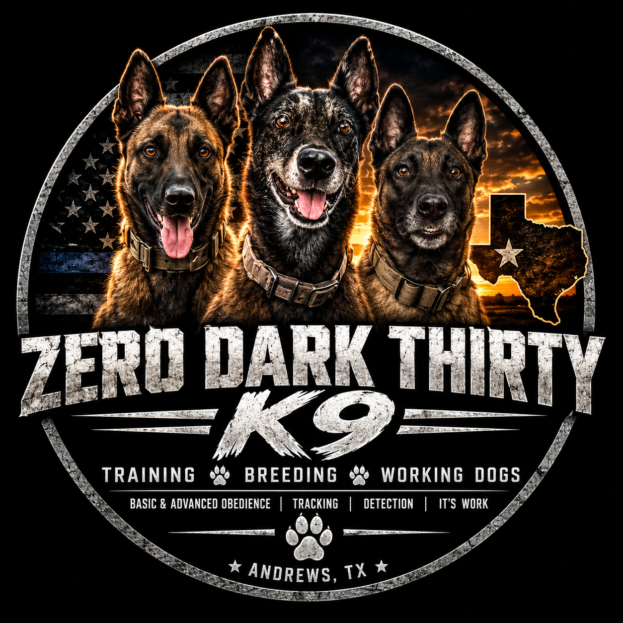 Zero Dark Thirty K9